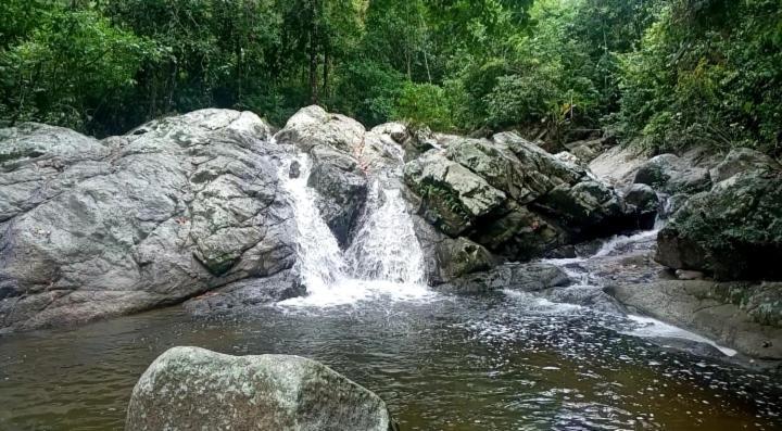 Las Mananitas De La Sierra El Zaino Ngoại thất bức ảnh