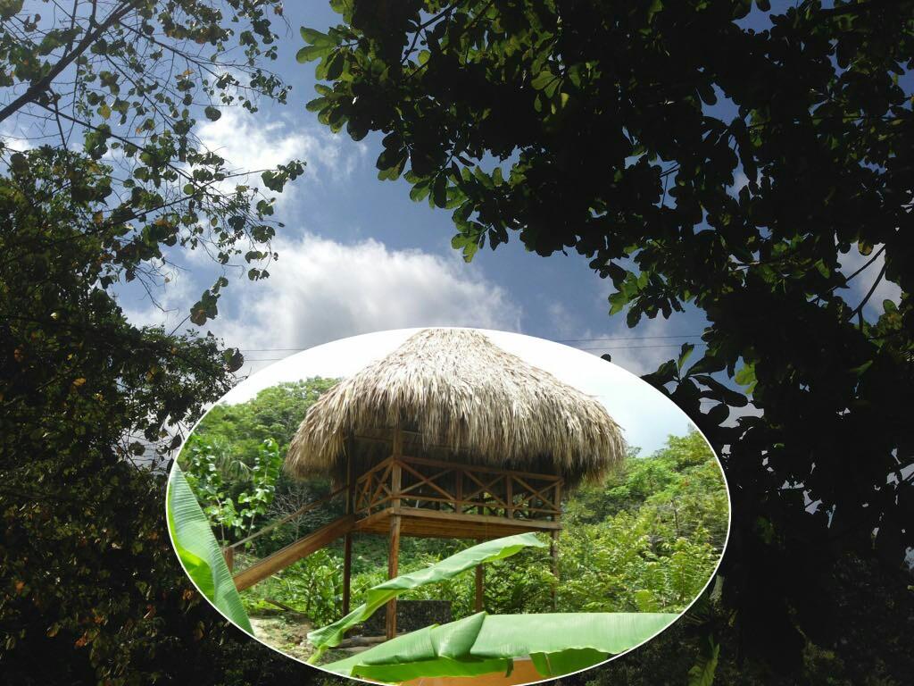 Las Mananitas De La Sierra El Zaino Ngoại thất bức ảnh