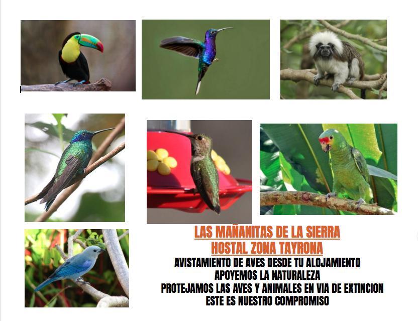 Las Mananitas De La Sierra El Zaino Ngoại thất bức ảnh